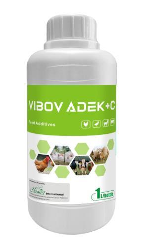 Vibov Adek + C